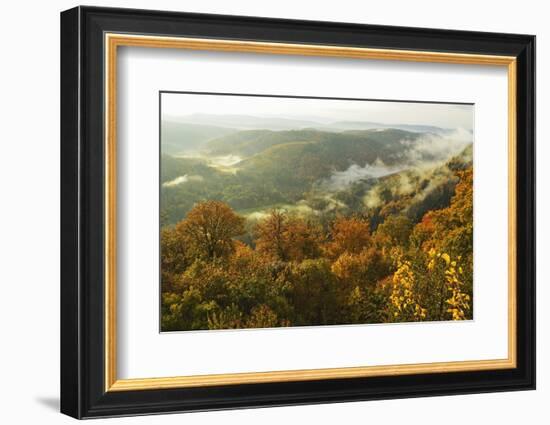 Early Morning View from Wegelnburg Castle of the Palatinate Forest-Jochen Schlenker-Framed Photographic Print