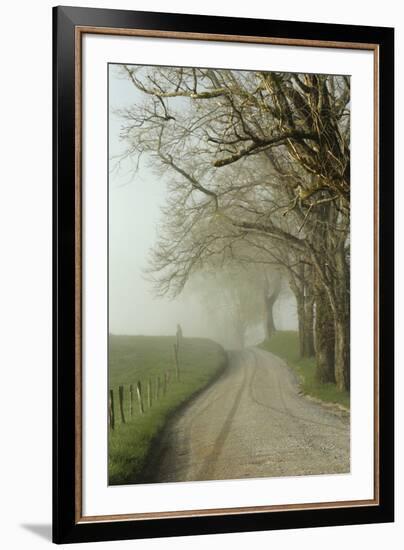 Early Morning View of Sparks Lane, Cades Cove, Great Smoky Mountains National Park, Tennessee-Adam Jones-Framed Photographic Print