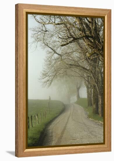 Early Morning View of Sparks Lane, Cades Cove, Great Smoky Mountains National Park, Tennessee-Adam Jones-Framed Premier Image Canvas