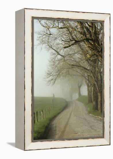 Early Morning View of Sparks Lane, Cades Cove, Great Smoky Mountains National Park, Tennessee-Adam Jones-Framed Premier Image Canvas