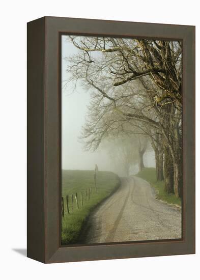 Early Morning View of Sparks Lane, Cades Cove, Great Smoky Mountains National Park, Tennessee-Adam Jones-Framed Premier Image Canvas