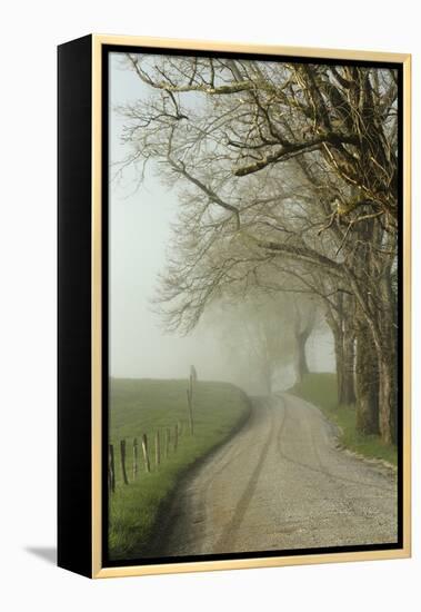 Early Morning View of Sparks Lane, Cades Cove, Great Smoky Mountains National Park, Tennessee-Adam Jones-Framed Premier Image Canvas