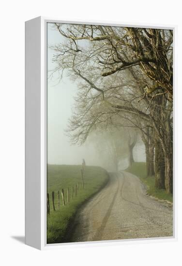 Early Morning View of Sparks Lane, Cades Cove, Great Smoky Mountains National Park, Tennessee-Adam Jones-Framed Premier Image Canvas