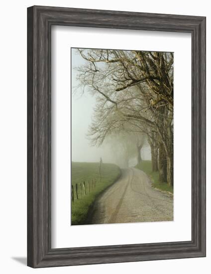 Early Morning View of Sparks Lane, Cades Cove, Great Smoky Mountains National Park, Tennessee-Adam Jones-Framed Photographic Print