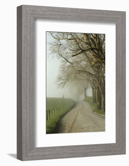 Early Morning View of Sparks Lane, Cades Cove, Great Smoky Mountains National Park, Tennessee-Adam Jones-Framed Photographic Print