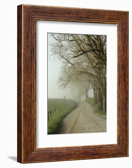 Early Morning View of Sparks Lane, Cades Cove, Great Smoky Mountains National Park, Tennessee-Adam Jones-Framed Photographic Print