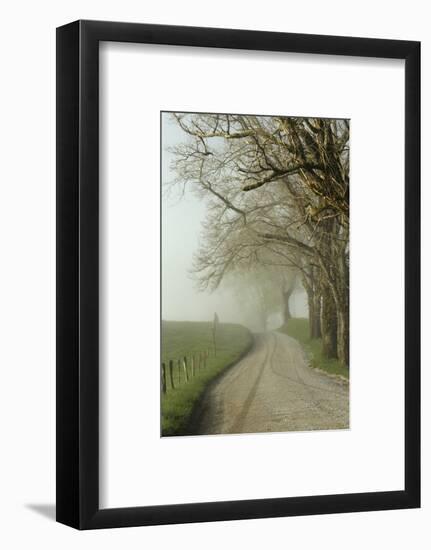 Early Morning View of Sparks Lane, Cades Cove, Great Smoky Mountains National Park, Tennessee-Adam Jones-Framed Photographic Print