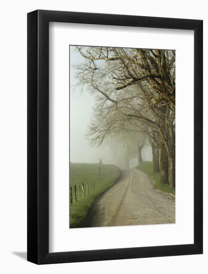 Early Morning View of Sparks Lane, Cades Cove, Great Smoky Mountains National Park, Tennessee-Adam Jones-Framed Photographic Print