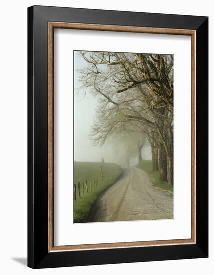 Early Morning View of Sparks Lane, Cades Cove, Great Smoky Mountains National Park, Tennessee-Adam Jones-Framed Photographic Print