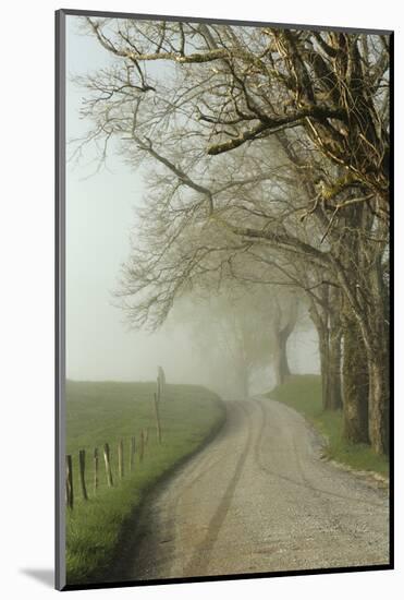 Early Morning View of Sparks Lane, Cades Cove, Great Smoky Mountains National Park, Tennessee-Adam Jones-Mounted Photographic Print