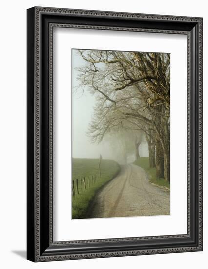 Early Morning View of Sparks Lane, Cades Cove, Great Smoky Mountains National Park, Tennessee-Adam Jones-Framed Photographic Print