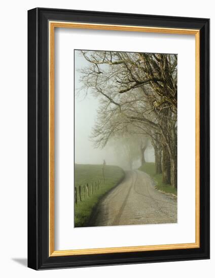 Early Morning View of Sparks Lane, Cades Cove, Great Smoky Mountains National Park, Tennessee-Adam Jones-Framed Photographic Print