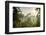 Early Morning View of the Countryside Surrounding the Temple Complex of Borobodur, Java, Indonesia-Michael Runkel-Framed Photographic Print