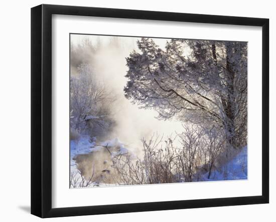 Early Morning Winter Frost Near River, Wisconsin, USA-Larry Michael-Framed Photographic Print