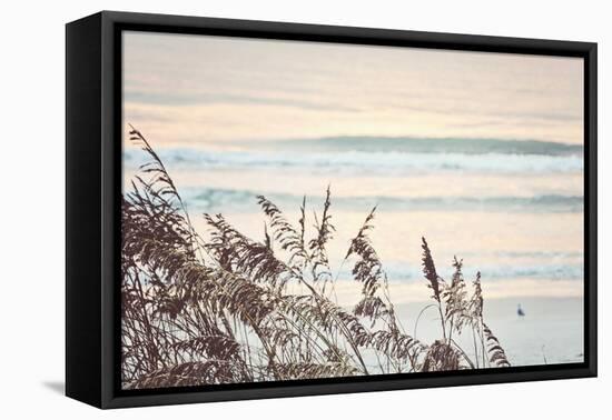 Early Morning-Gail Peck-Framed Premier Image Canvas