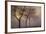 Early Morning-Cora Niele-Framed Photographic Print