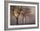 Early Morning-Cora Niele-Framed Photographic Print