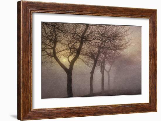 Early Morning-Cora Niele-Framed Photographic Print