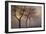 Early Morning-Cora Niele-Framed Photographic Print