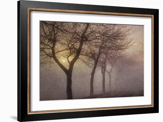 Early Morning-Cora Niele-Framed Photographic Print