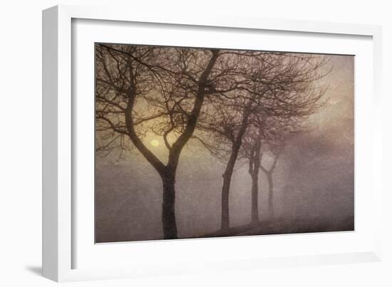 Early Morning-Cora Niele-Framed Photographic Print