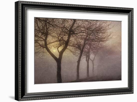 Early Morning-Cora Niele-Framed Photographic Print