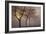 Early Morning-Cora Niele-Framed Photographic Print