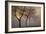 Early Morning-Cora Niele-Framed Photographic Print