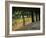 Early Morning-Dale Kennington-Framed Giclee Print