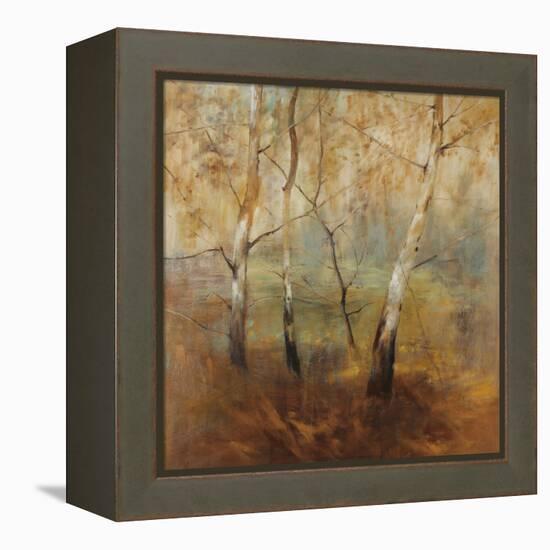 Early Morning-Simon Addyman-Framed Stretched Canvas