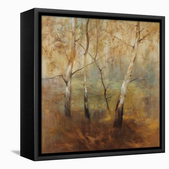 Early Morning-Simon Addyman-Framed Stretched Canvas