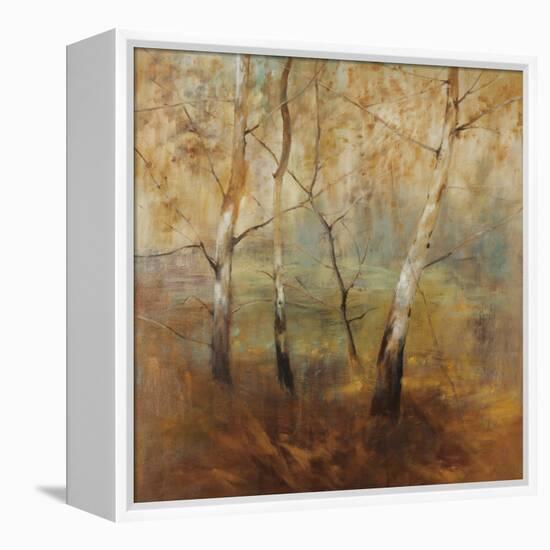 Early Morning-Simon Addyman-Framed Stretched Canvas