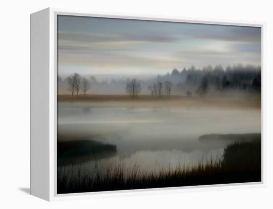 Early Morning-Madeline Clark-Framed Stretched Canvas