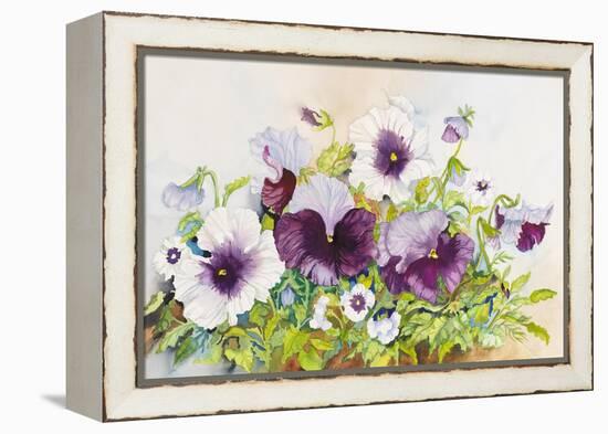 Early Pansies-Joanne Porter-Framed Premier Image Canvas