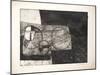 EARLY PRINTS 315250 (print)-Ralph Steadman-Mounted Giclee Print