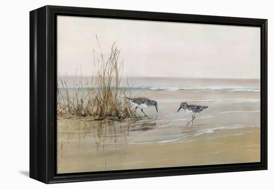 Early Risers I-Sally Swatland-Framed Stretched Canvas