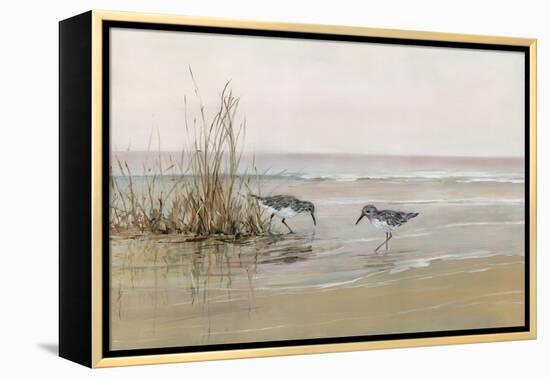 Early Risers I-Sally Swatland-Framed Stretched Canvas