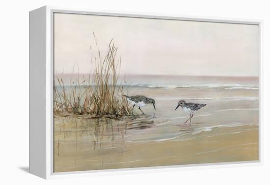 Early Risers I-Sally Swatland-Framed Stretched Canvas