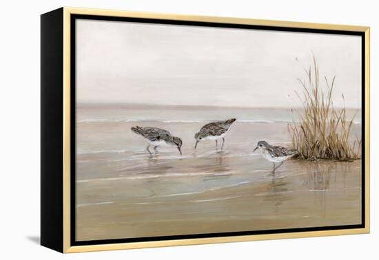 Early Risers II-Sally Swatland-Framed Stretched Canvas