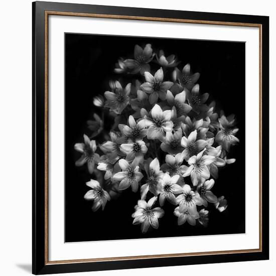 Early Sensation-Yvette Depaepe-Framed Giclee Print