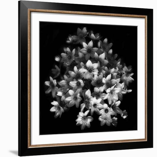 Early Sensation-Yvette Depaepe-Framed Giclee Print