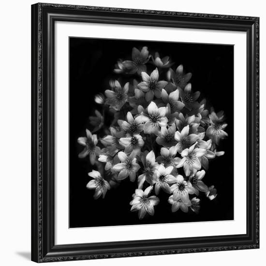 Early Sensation-Yvette Depaepe-Framed Giclee Print