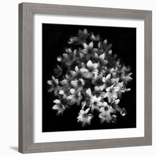 Early Sensation-Yvette Depaepe-Framed Photographic Print