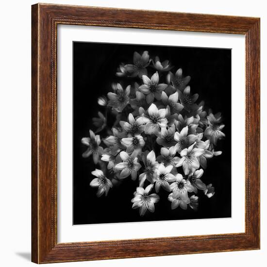 Early Sensation-Yvette Depaepe-Framed Photographic Print