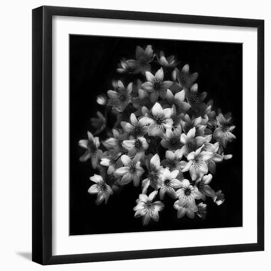 Early Sensation-Yvette Depaepe-Framed Photographic Print