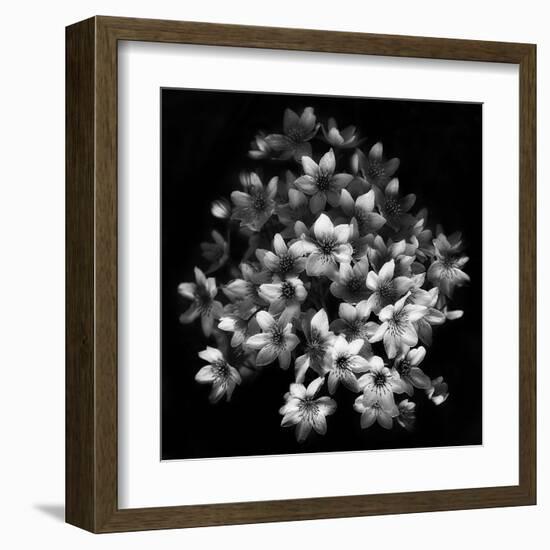 Early Sensation-Yvette Depaepe-Framed Art Print