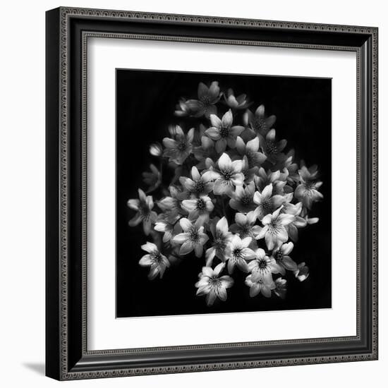 Early Sensation-Yvette Depaepe-Framed Art Print