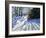 Early Snow, Darley Park-Andrew Macara-Framed Giclee Print