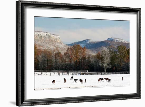 Early Snow Horse Paddock-Robert Goldwitz-Framed Photographic Print