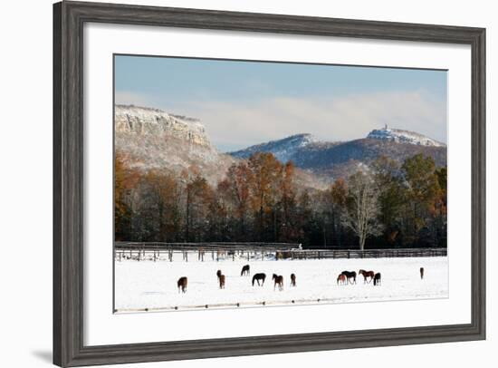 Early Snow Horse Paddock-Robert Goldwitz-Framed Photographic Print